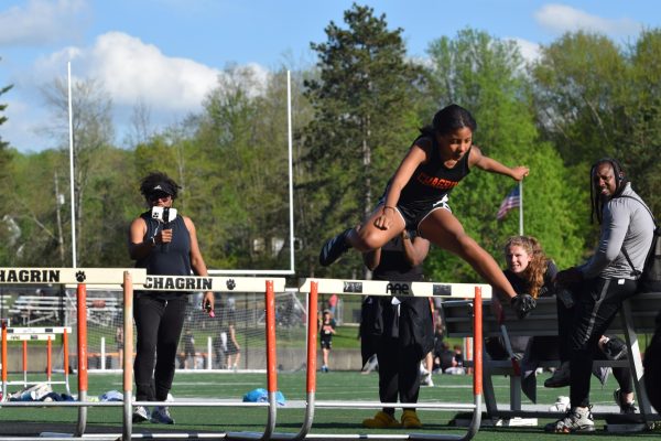 Tigers compete in track Meet