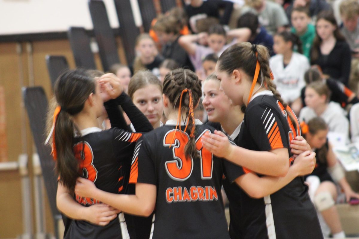 Volleyball team takes on Wolverines for Zoo Game